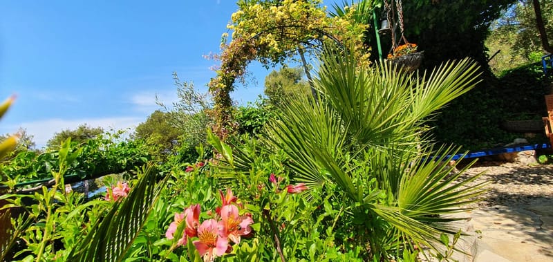 Raznolikost mediteranskog bilja i začina