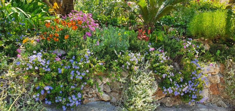 Raznolikost mediteranskog bilja i začina