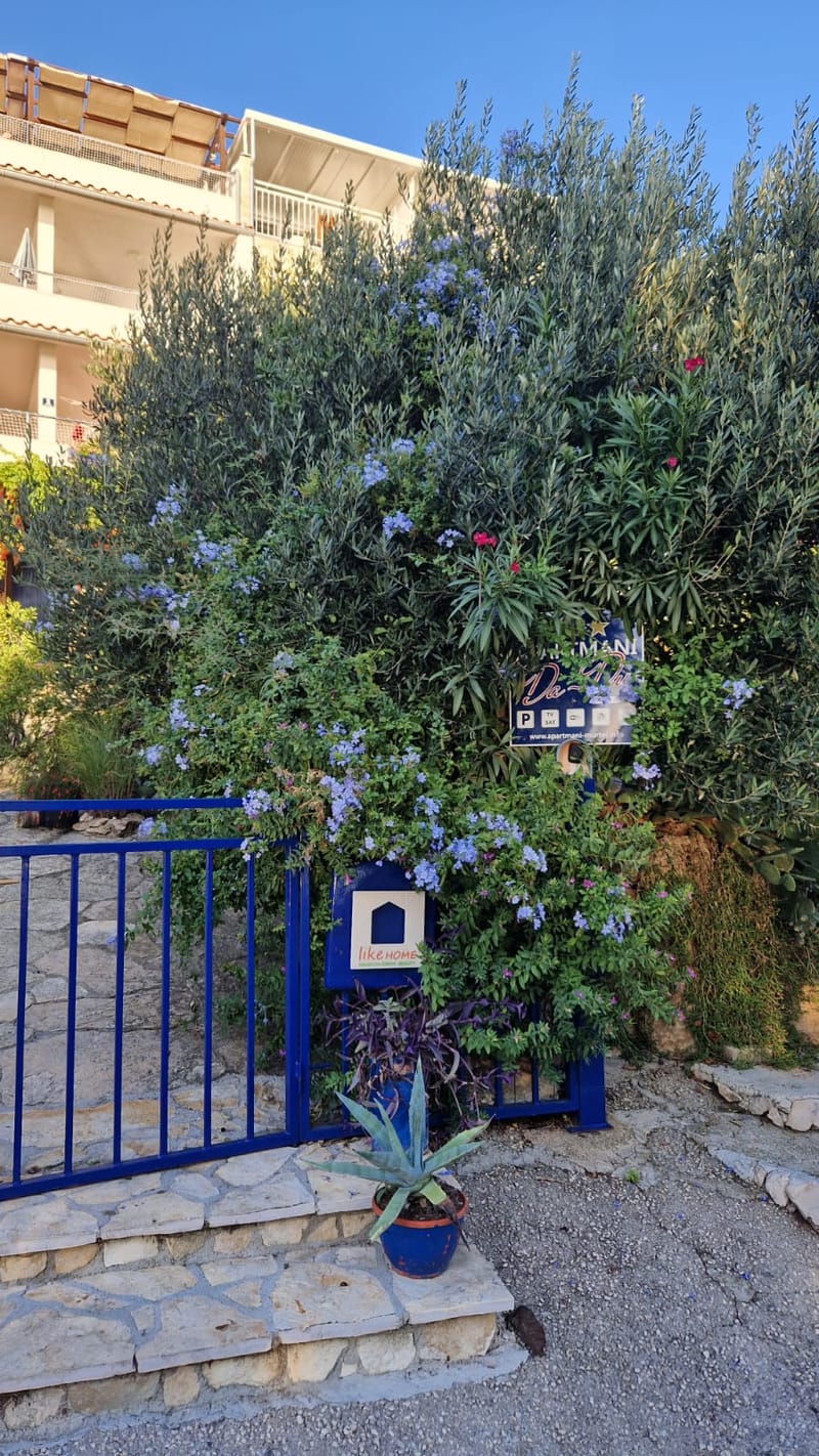 Raznolikost mediteranskog bilja i začina