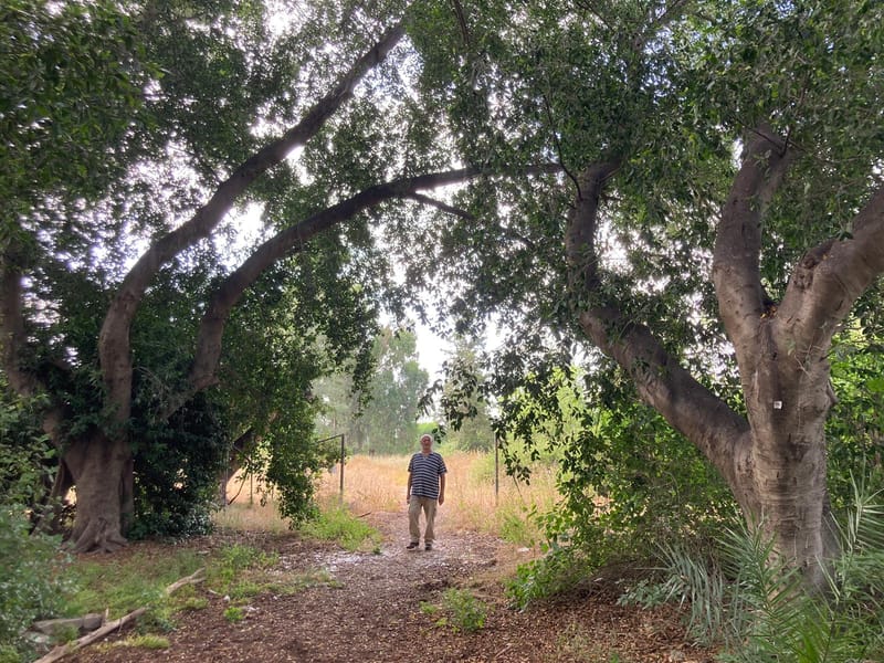 הליכות ג'יין מתחם בית הנערה - סיור נוסף
