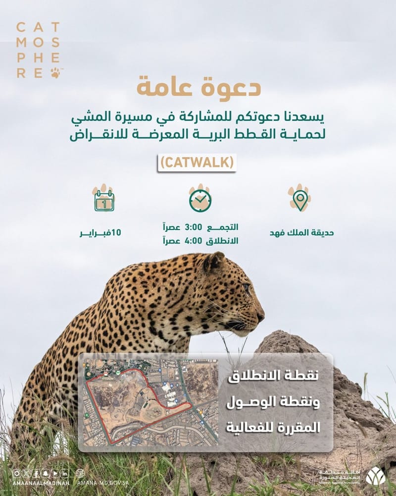 المشي لحماية النمر العربي