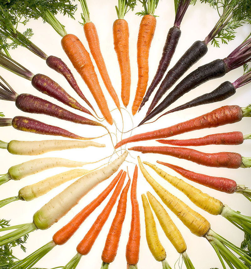 ANTIOXIDANTES