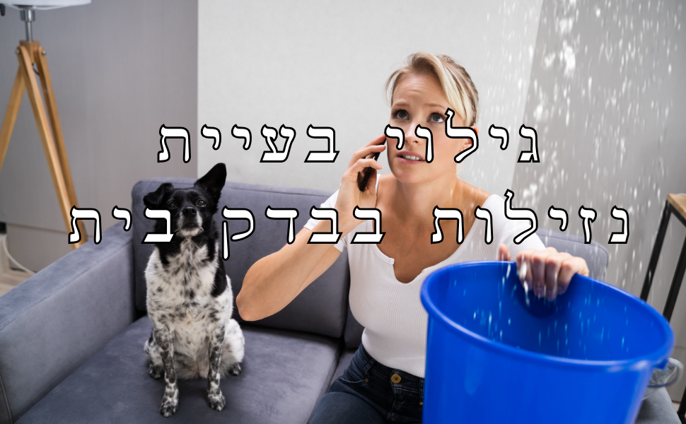 גילוי בעיית נזילות בבדק בית באמצעות מצלמה טרמית