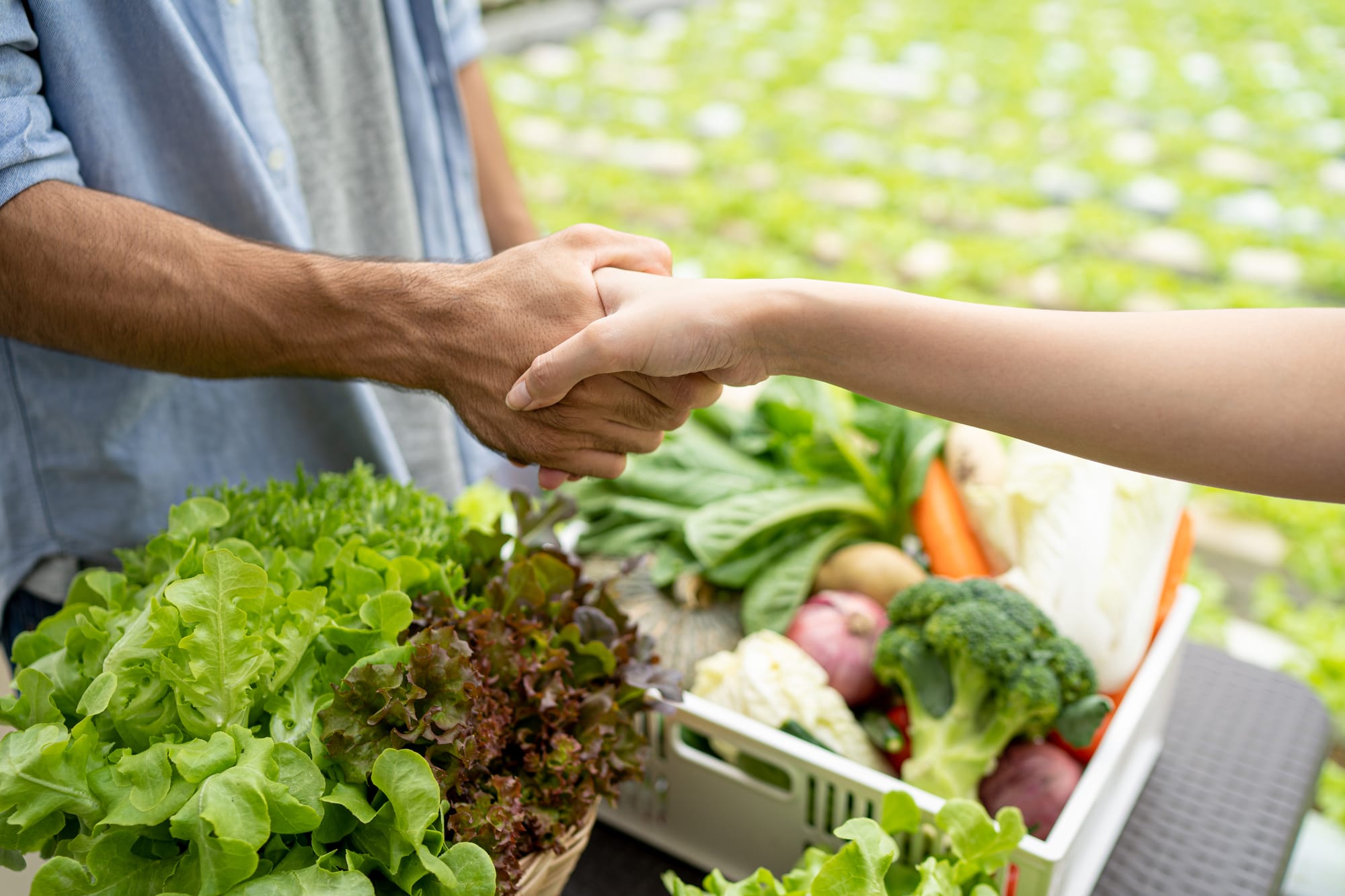 Food Swap! Waste not, Want Not.