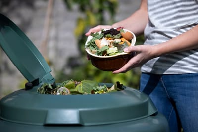 Benefits of Composting Food Waste