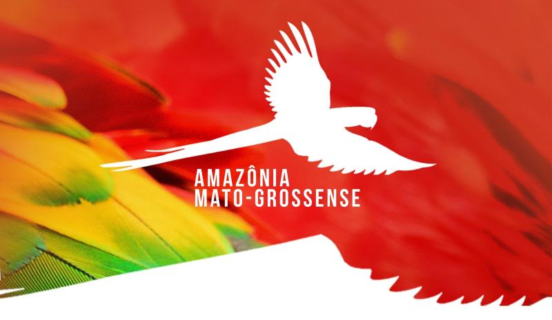 Amazõnia das Terras Altas