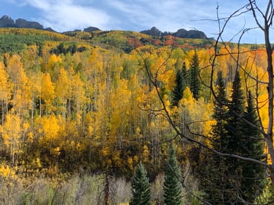 Something to say; Time to say it