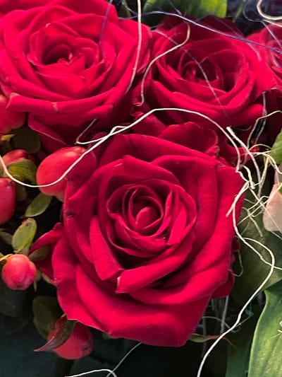 Nicole's                              Rose-Nails