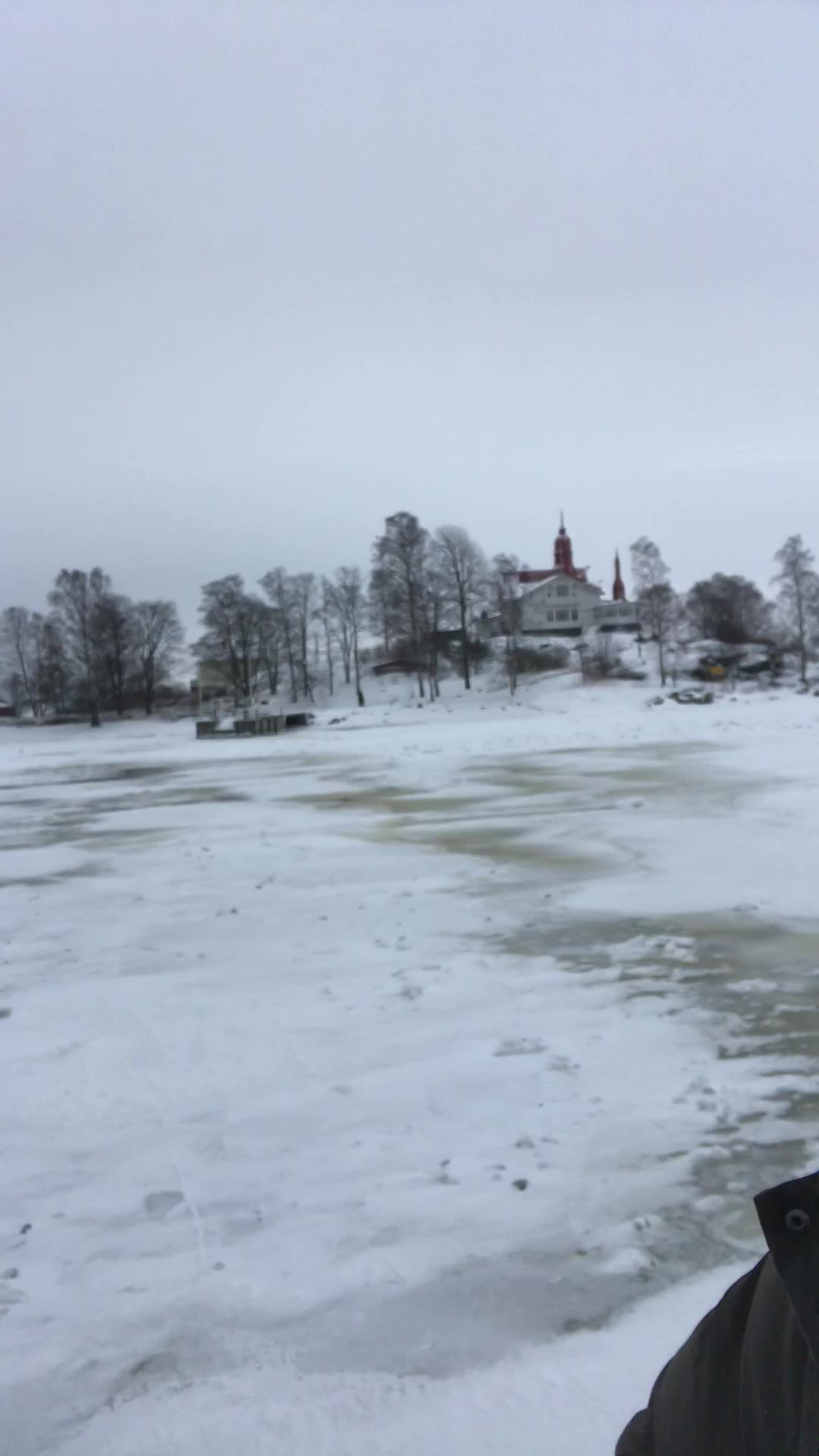 Professor Matti from Finland