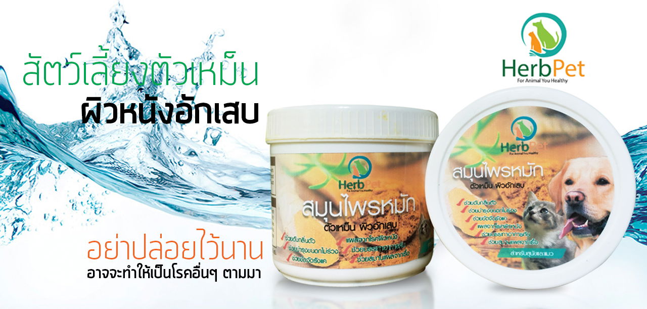 วิธีหมักสมุนไพร HerbPet