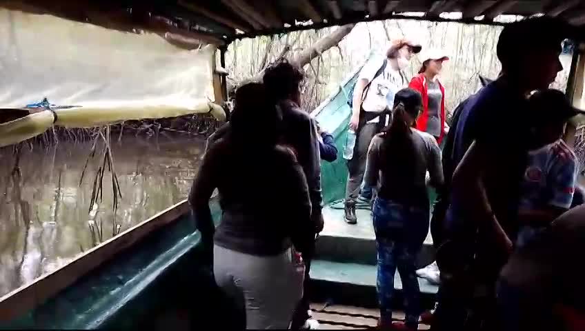 Turistas en el manglar