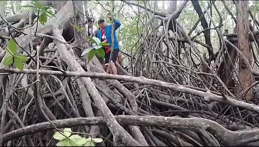 Turistas experimentando