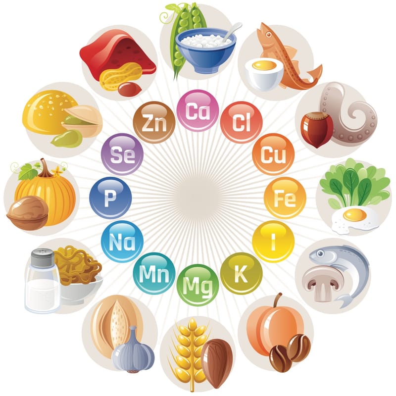 LAS VITAMINAS