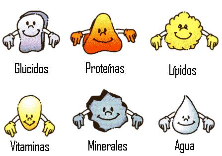 LOS NUTRIENTES