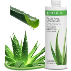 ALOE VERA PARA LA SALUD DIARIA