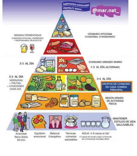 LA NUEVA PIRÁMIDE ALIMENTARIA
