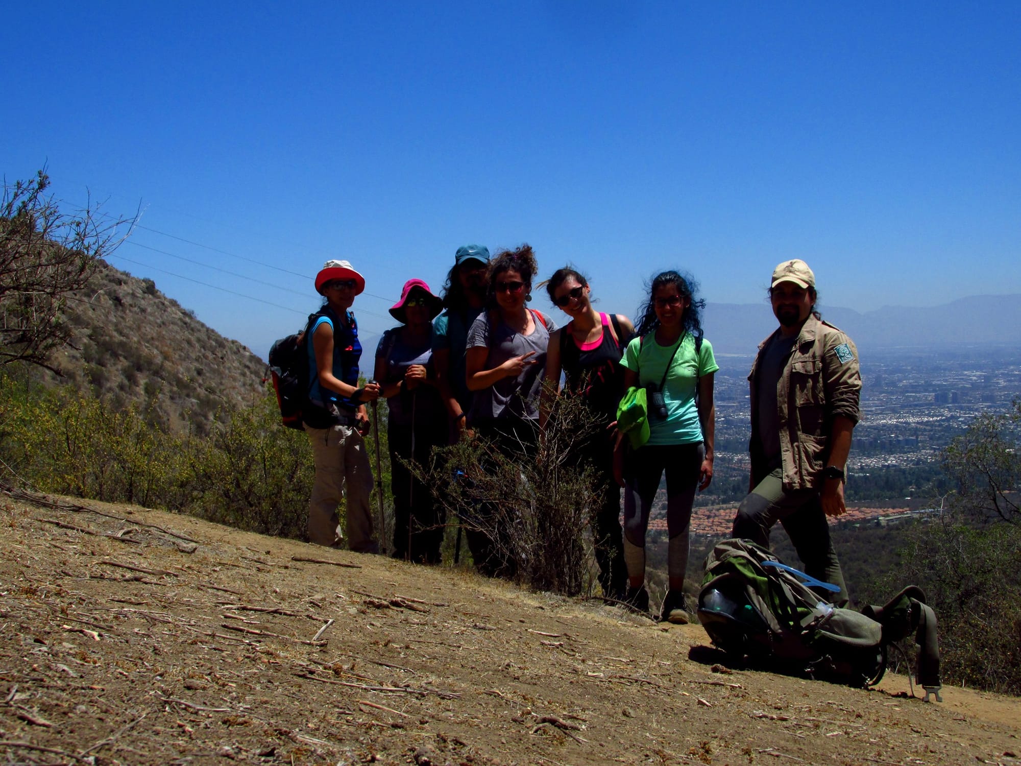 Observación de Aves