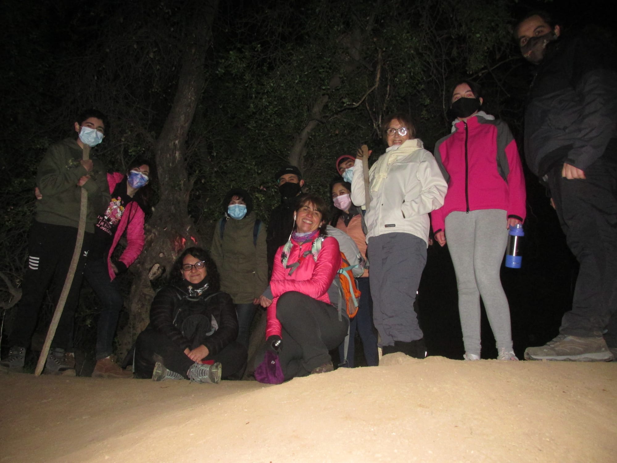 Caminata Guiada Historia Secreta del Bosque Panul