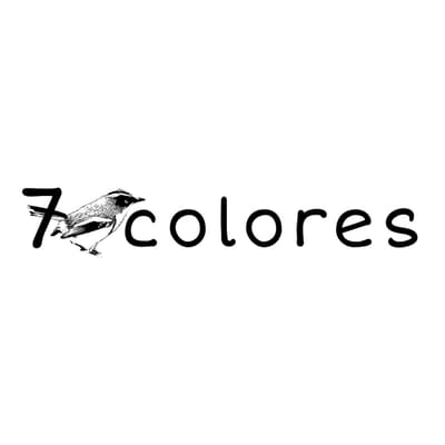 Taller Siete Colores
