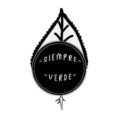 Escuelita Siempre Verde