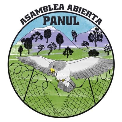Asamblea Abierta Panul