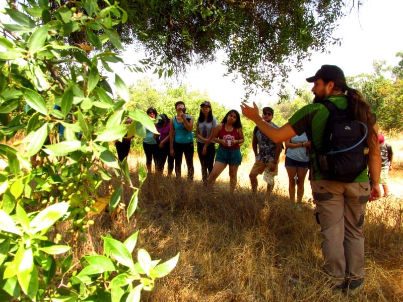 CAMINATA DE RECONOCIMIENTO DE FLORA Y FAUNA