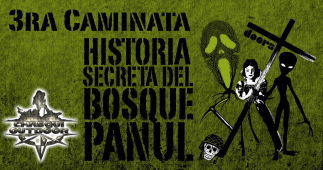 Caminata Historia Secreta del Bosque Panul