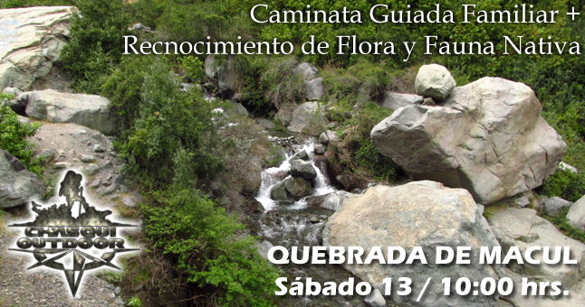 Caminata Guiada Familiar - Quebrada de Macul