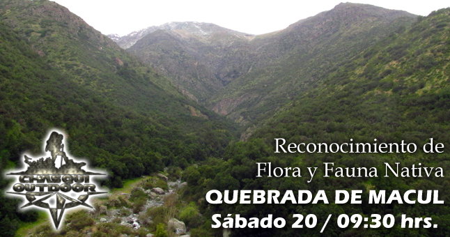 Caminata Reconocimiento de Flora y Fauna - Quebrada de Macul