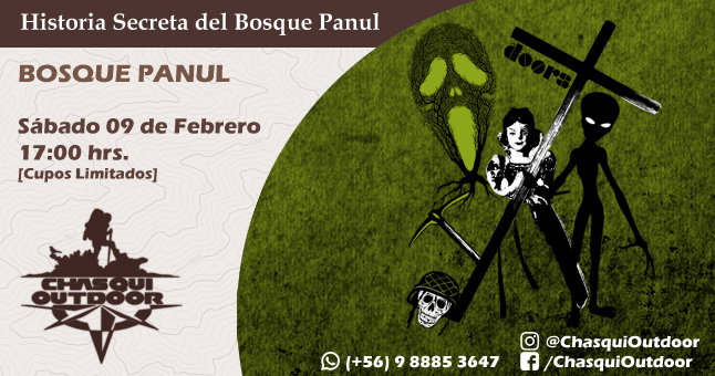 Caminata Historia Secreta del Bosque Panul - Copia