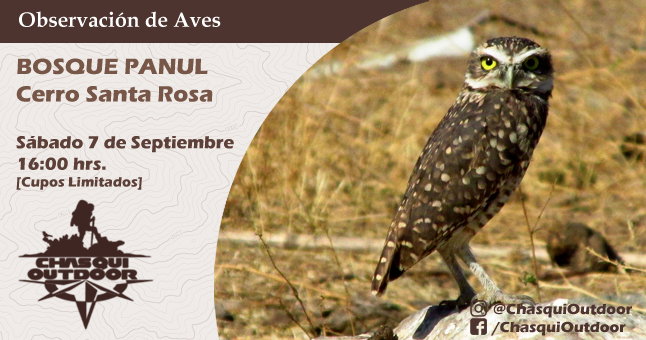 Observación de Aves - Cerro Santa Rosa