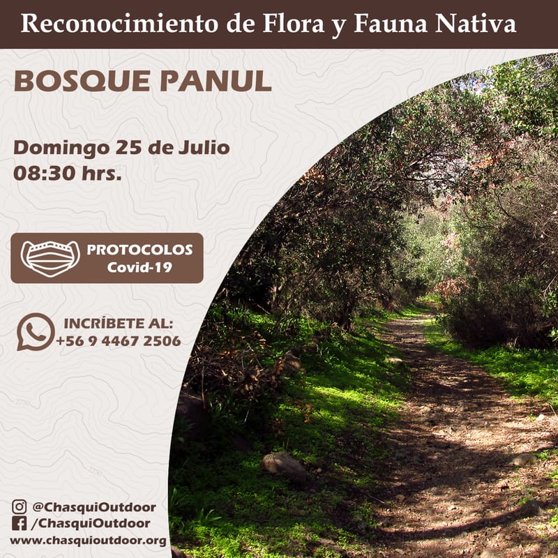 Taller reconocimiento de Flora y Fauna [CUPOS LLENOS]