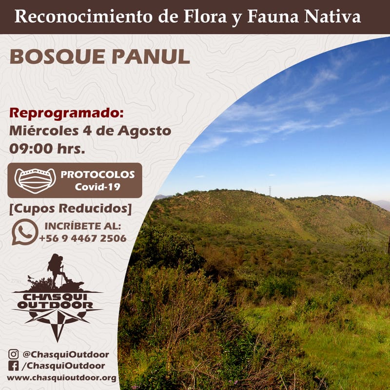 Taller reconocimiento de Flora y Fauna [Reprogramado]