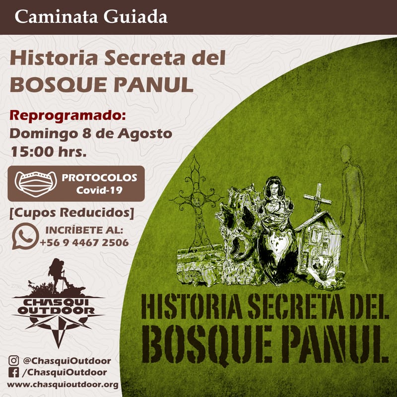 Caminata Historia Secreta del Bosque Panul [Reprogramado]