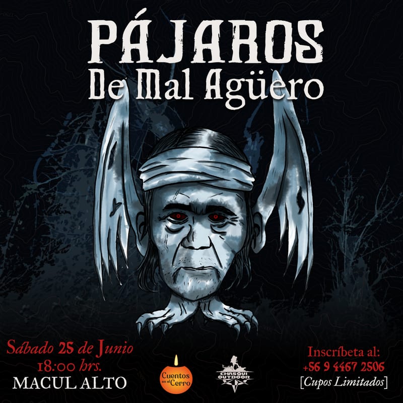 Pájaros de Mal Agüero