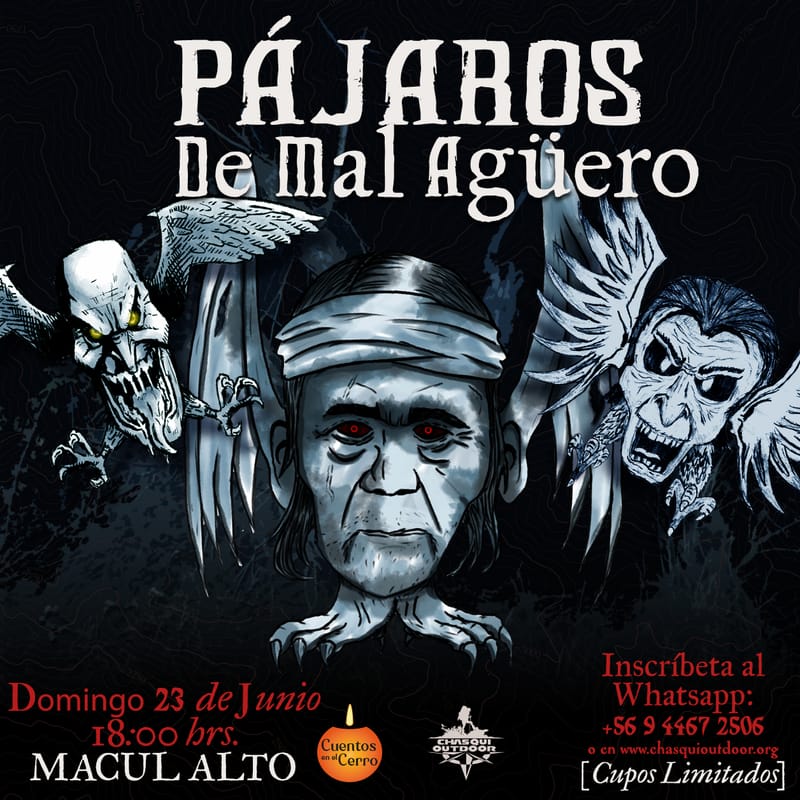 Pájaros de Mal Agüero