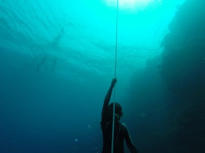 About Freediving image