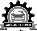 LABIB AUTO REPAIR SOLE PROPRIETORSHIP LLC