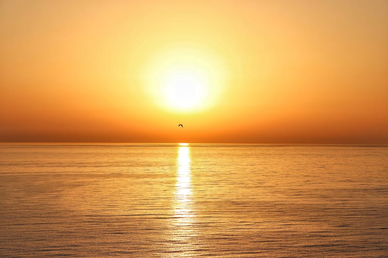 Sea