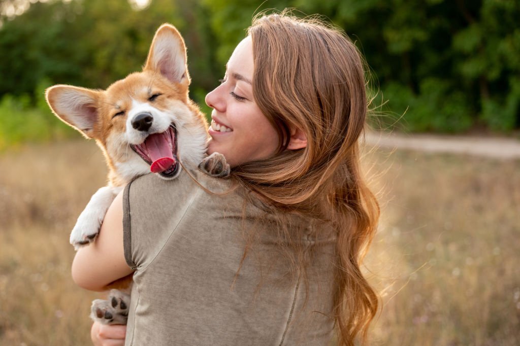 Safety First: A Guide to Selecting the Right Harness for Your Dog