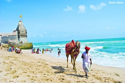 List of Top 5 Tourist Places to Visit in Gujarat
