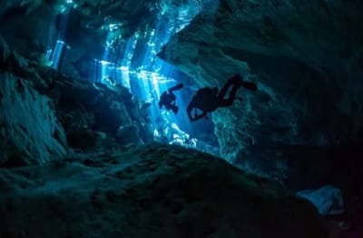 Discover the Enchantment of Cenote Diving in Tulum