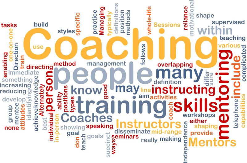 LEADERSHIP TRAINING, COACHING AND MENTORING