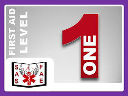 First Aid Level 1 (US116511)