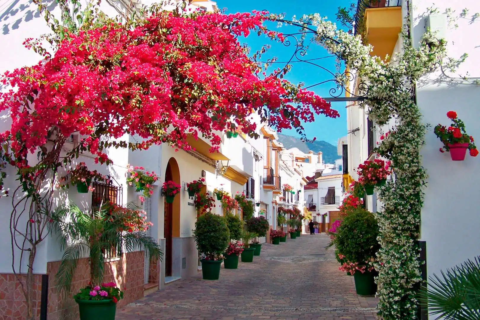 ESTEPONA, Costa del Sol