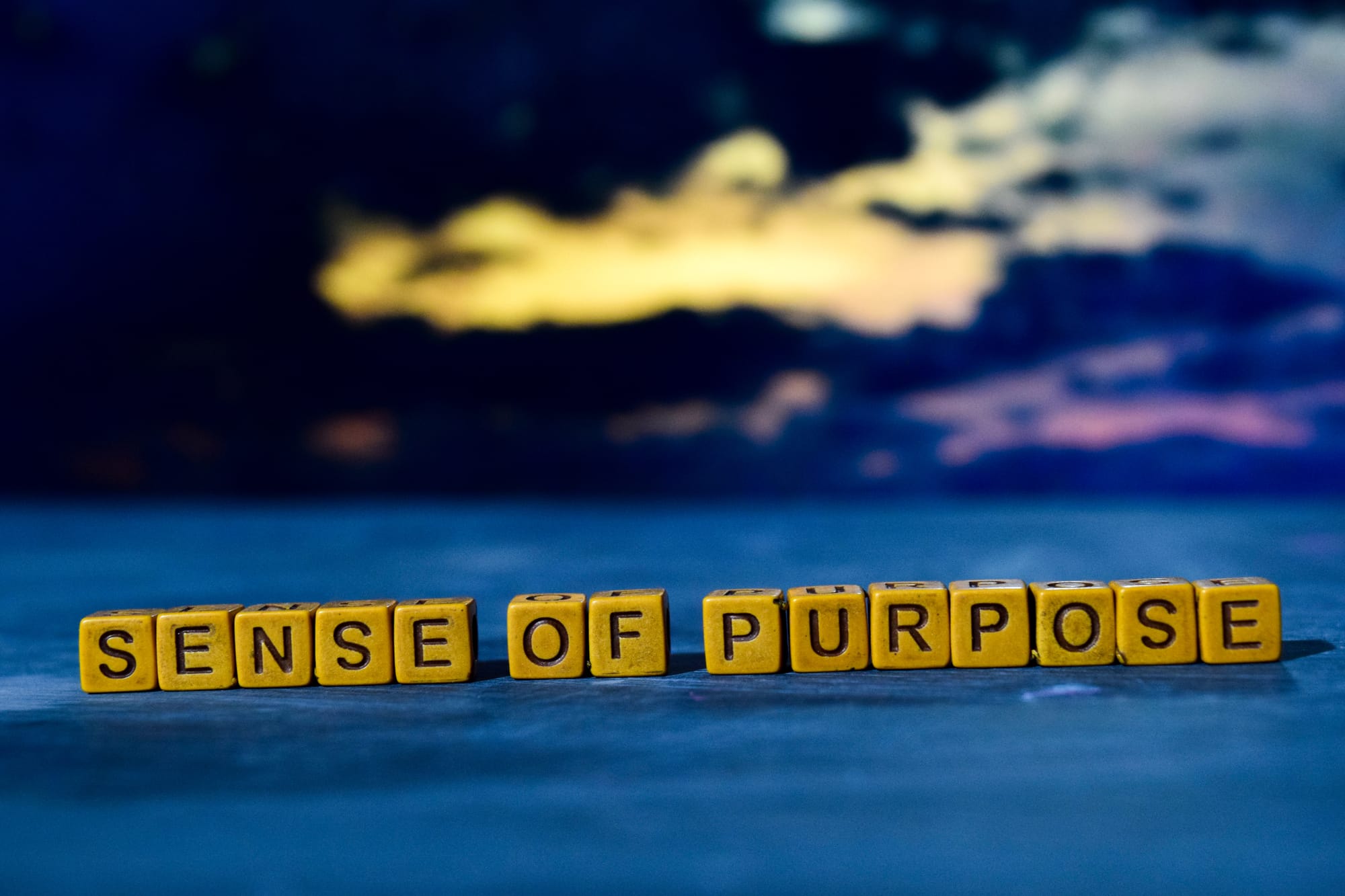 How can we find a sense of purpose?
