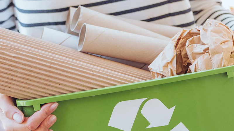 Location Benne MOLSHEIM ☎️  06 78 75 59 17