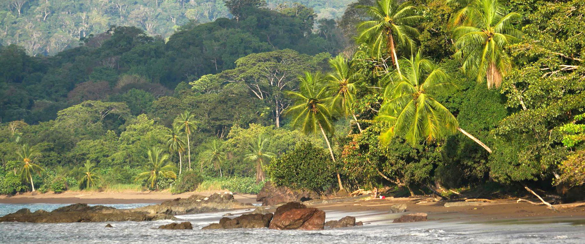 Pure adventure…visit Drake Bay