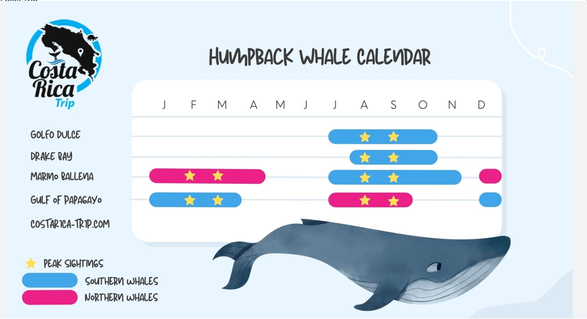 The Humpback Whale Park