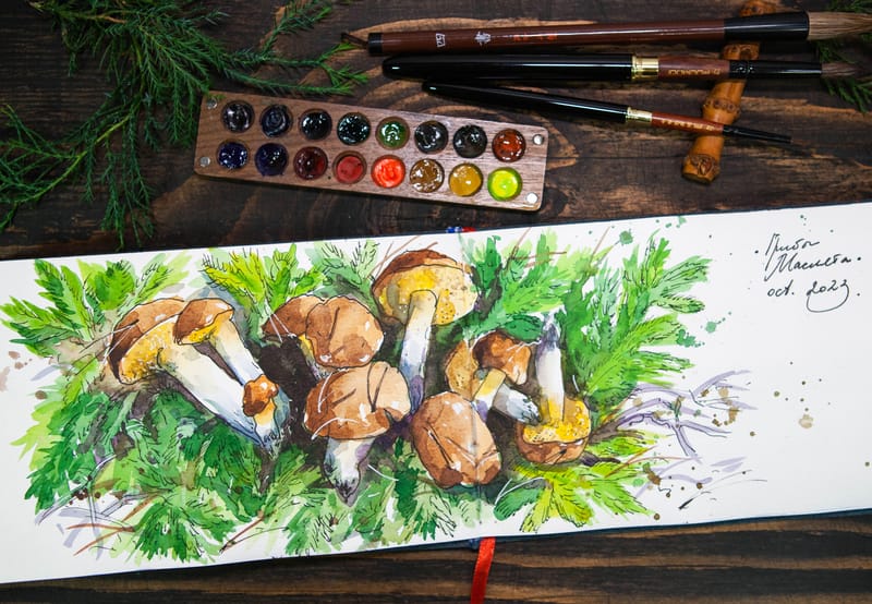 BOLETUS MUSHROOMS